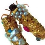 Toužíte po exkluzivitě? Pořiďte si šperky vyrobené larvami hmyzu!